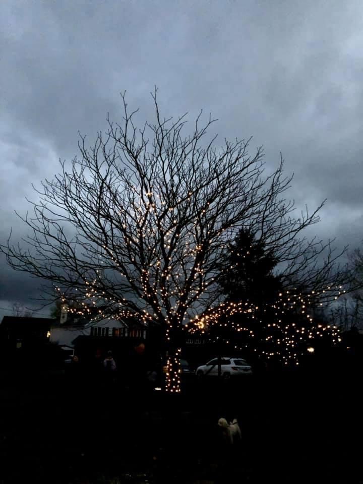 Milland Christmas Lights