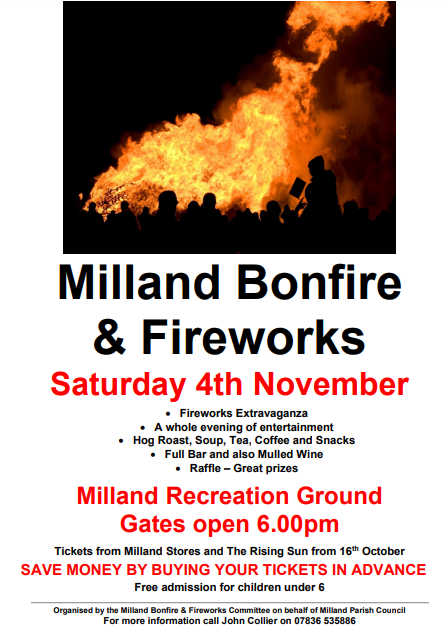 Milland Bonfire & Fireworks