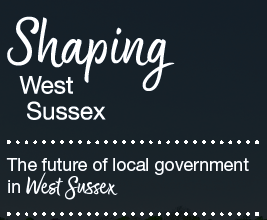 Local Government Reorganisation Questionnaire