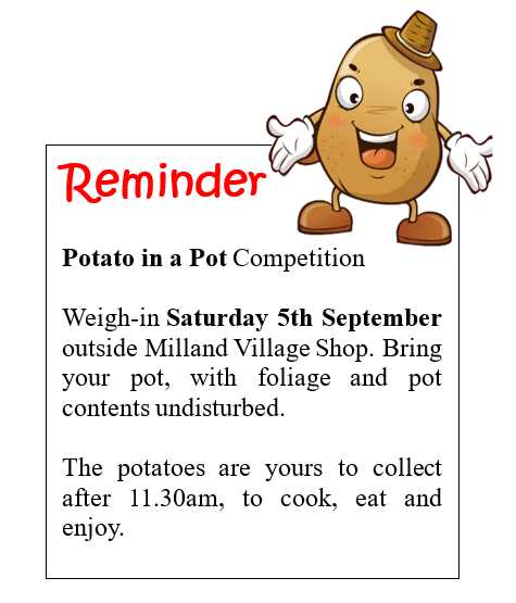 Potato Competition